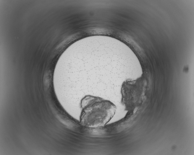 X0000116820165201001291629