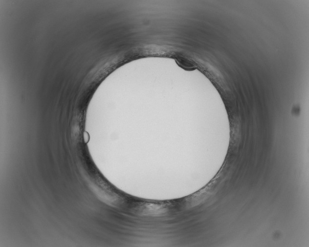 X0000116820166201001291629