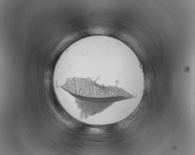 X0000116820167201001291629