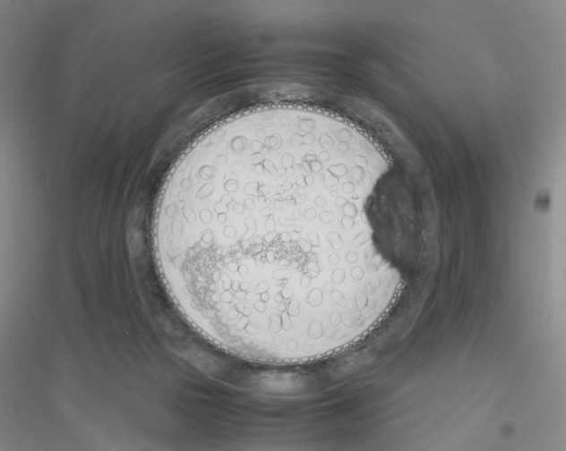 X0000116820169201001291629