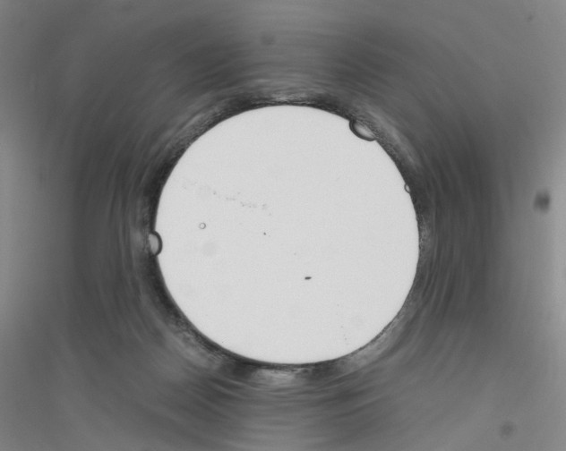 X0000116820170201001291629