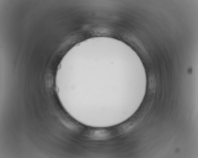 X0000116820173201001291630