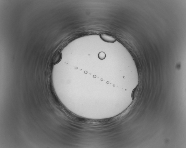 X0000116820174201001291630