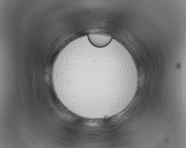 X0000116820175201001291630