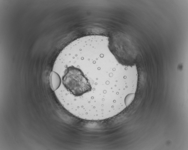 X0000116820177201001291630