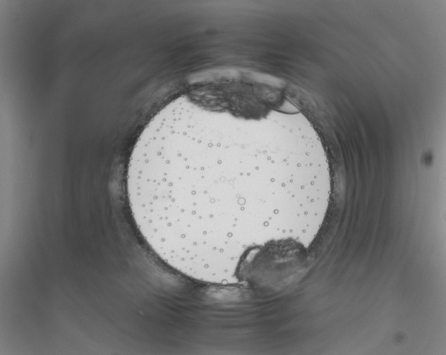 X0000116820181201001291630