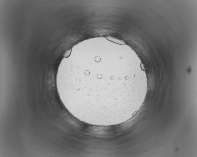 X0000116820182201001291630