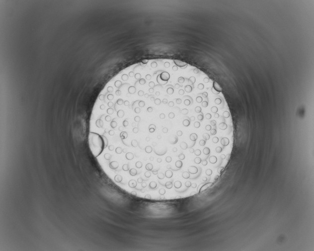 X0000116820183201001291630