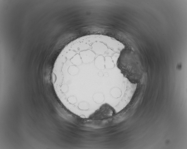 X0000116820185201001291630