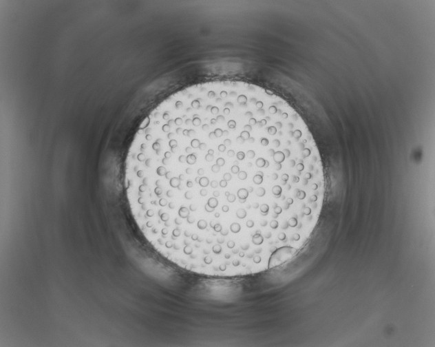 X0000116820187201001291630