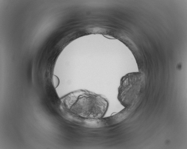 X0000116820189201001291630