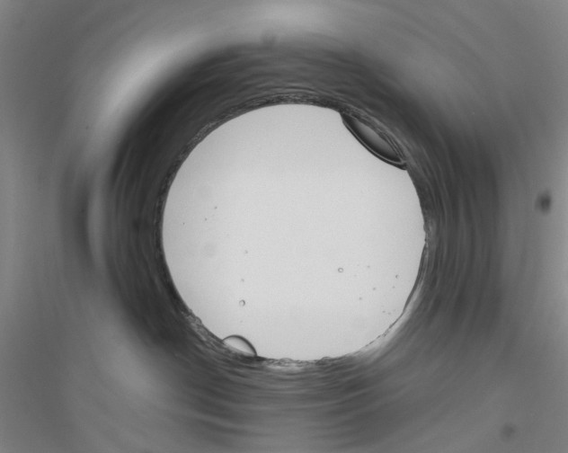 X0000116820190201001291630