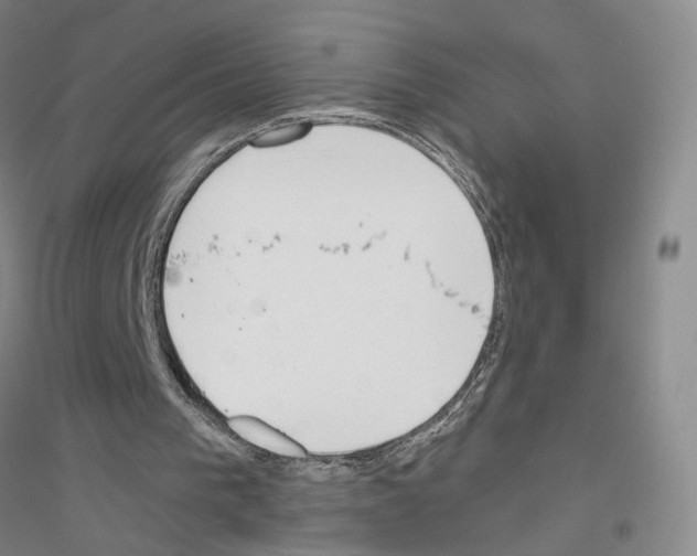 X0000116820193201001291629