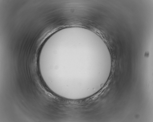 X0000116820194201001291629