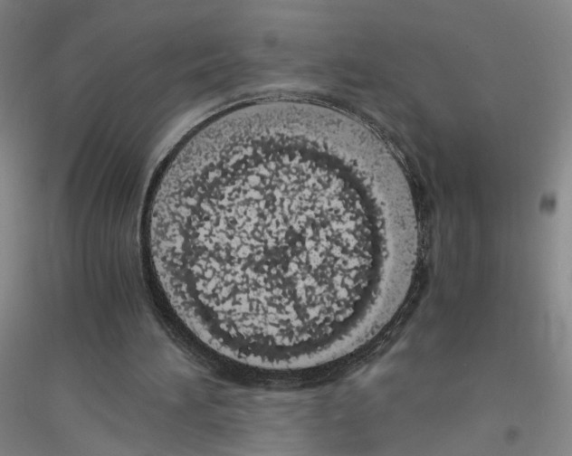 X0000116820196201001291629