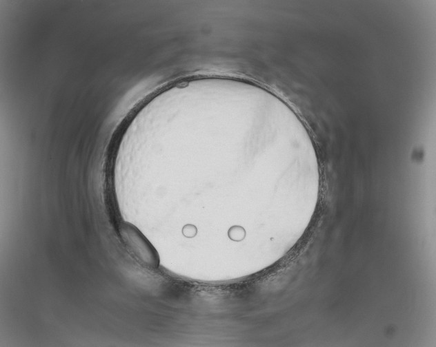 X0000116820199201001291629