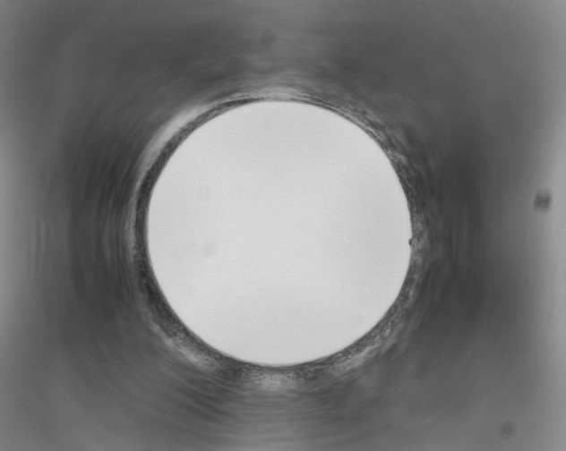 X0000116820200201001291629