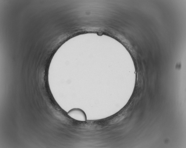 X0000116820201201001291629