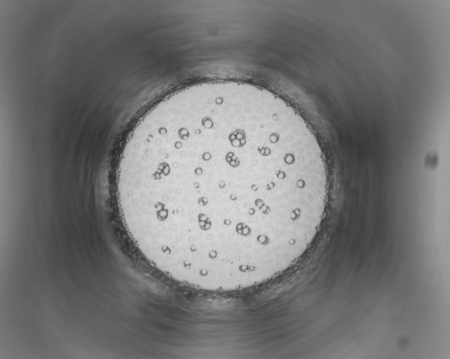 X0000116820202201001291629