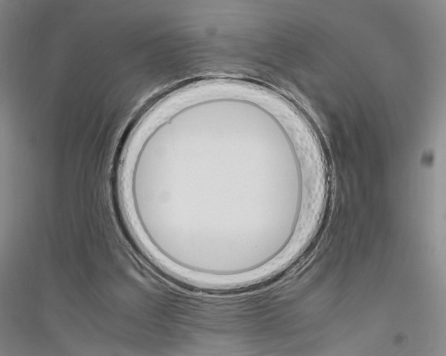 X0000116820203201001291629