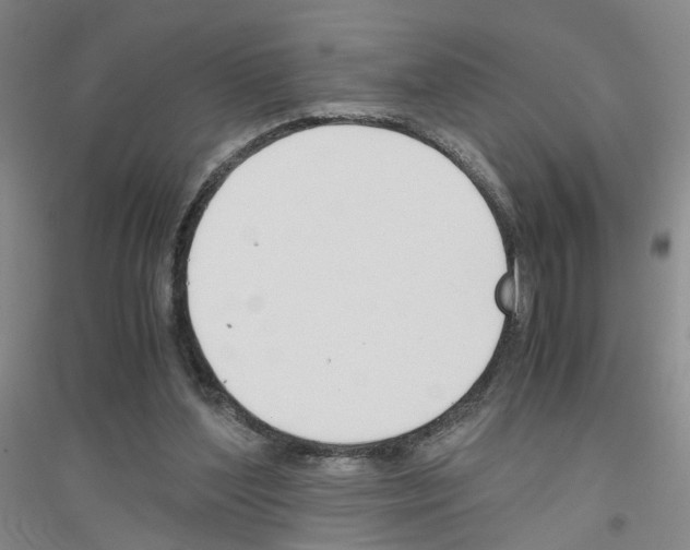 X0000116820204201001291629