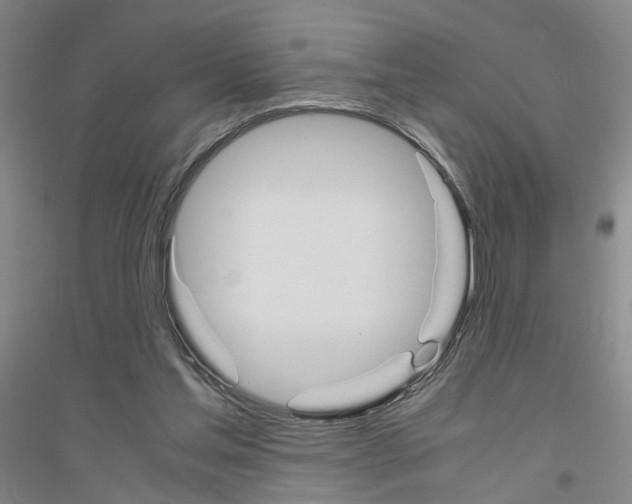 X0000116820205201001291629