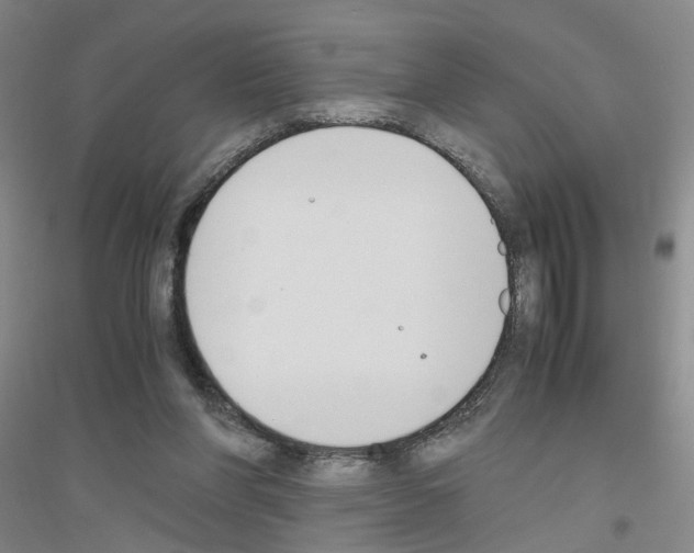 X0000116820206201001291629