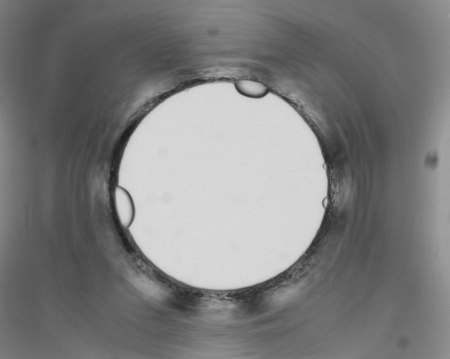 X0000116820207201001291629