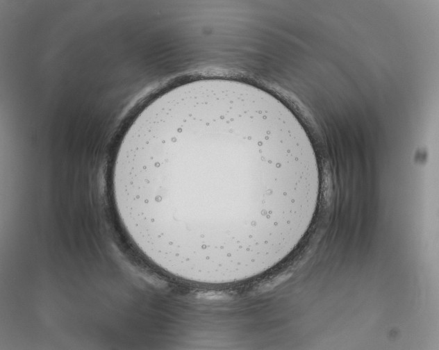 X0000116820208201001291629