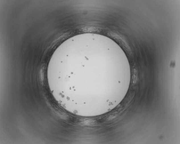 X0000116820210201001291629