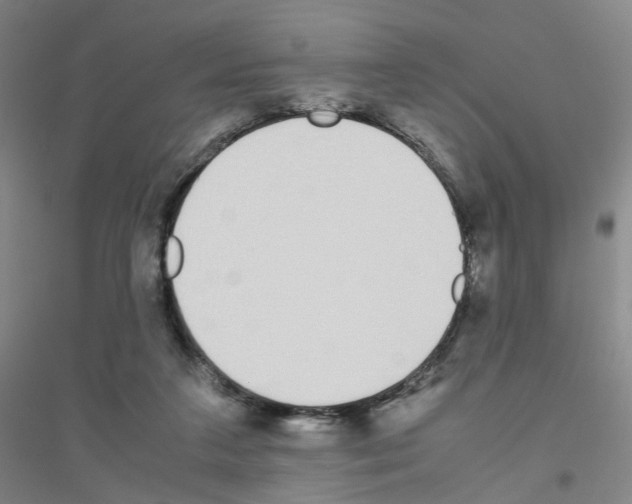 X0000116820211201001291629