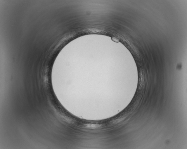 X0000116820212201001291629