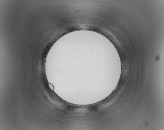 X0000116820213201001291629