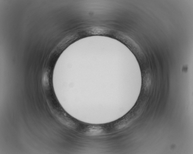 X0000116820214201001291629