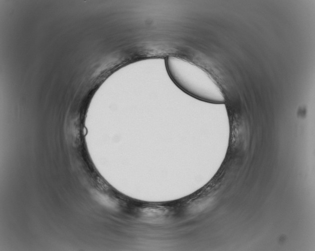 X0000116820215201001291629