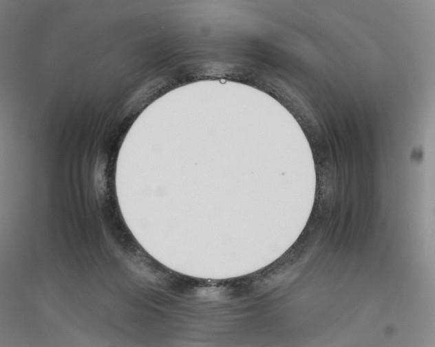 X0000116820216201001291629