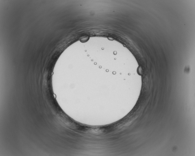 X0000116820217201001291629