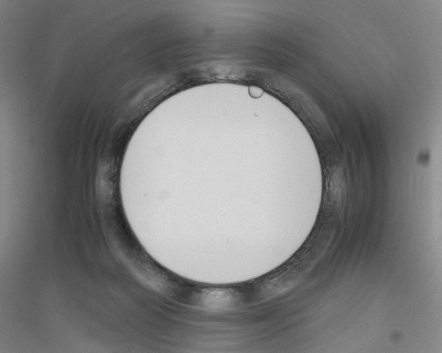 X0000116820218201001291629