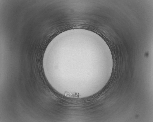 X0000116820219201001291629