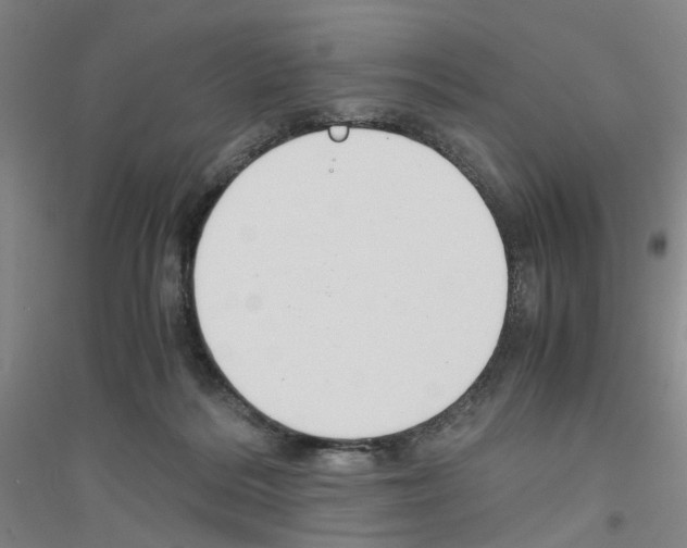 X0000116820220201001291629