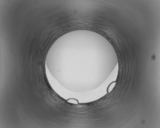 X0000116820221201001291629