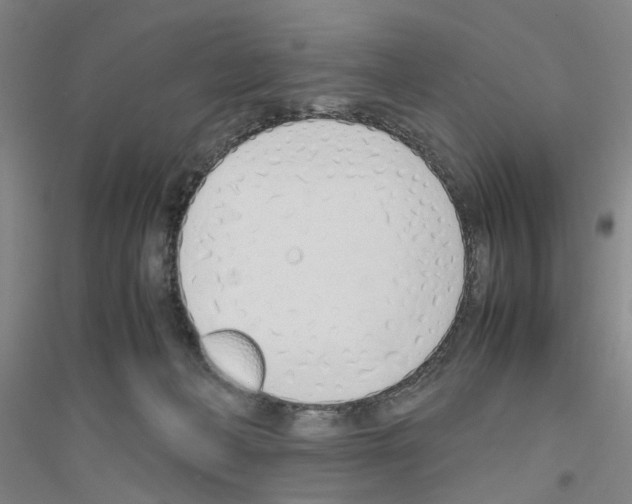 X0000116820222201001291629