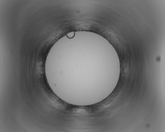 X0000116820224201001291629