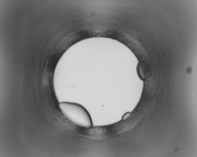 X0000116820225201001291629