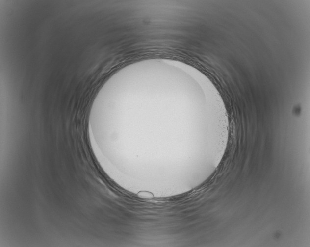 X0000116820227201001291629