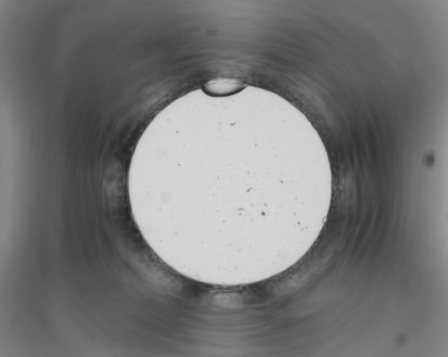 X0000116820228201001291629