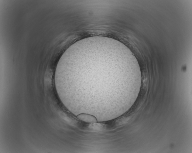 X0000116820231201001291629