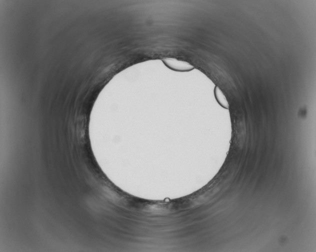 X0000116820232201001291629