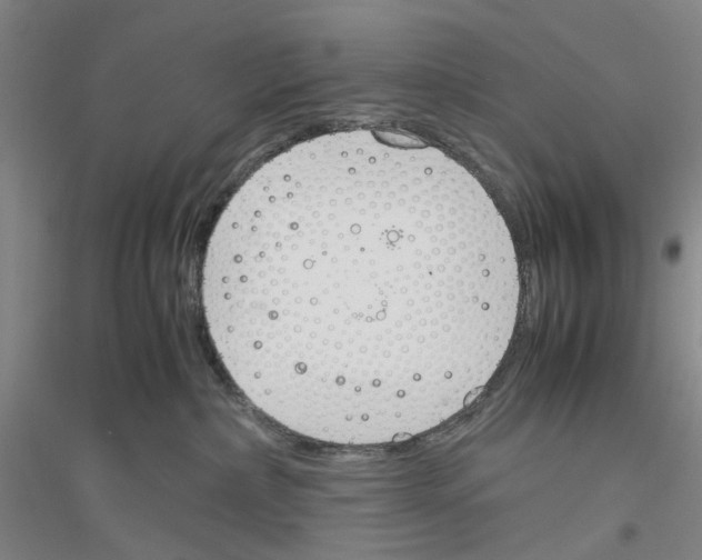 X0000116820236201001291629