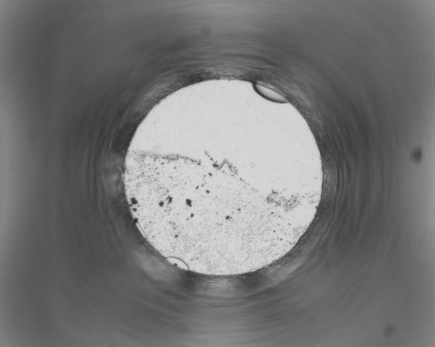 X0000116820237201001291629